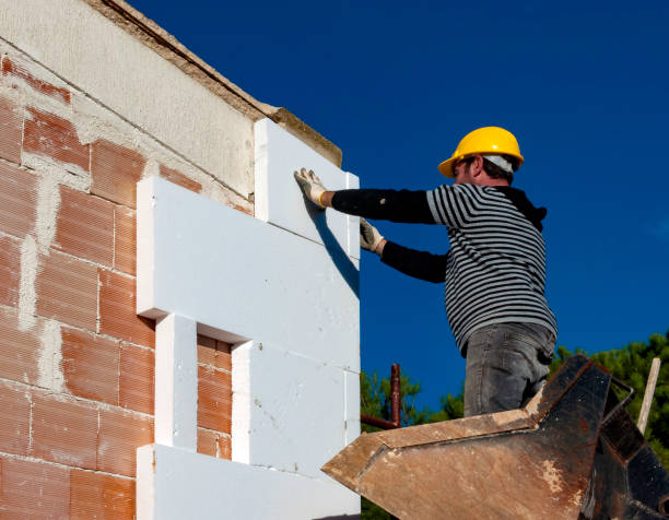 Best Fiberglass Insulation in Socorro, TX