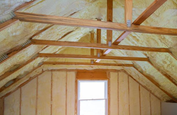 Best Blown-in Insulation in Socorro, TX