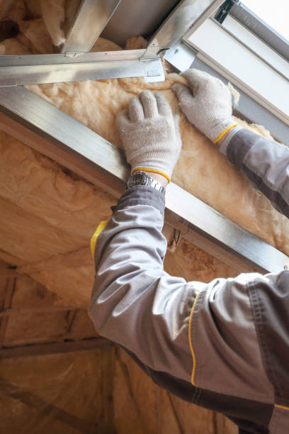 Best Spray Foam Insulation in Socorro, TX