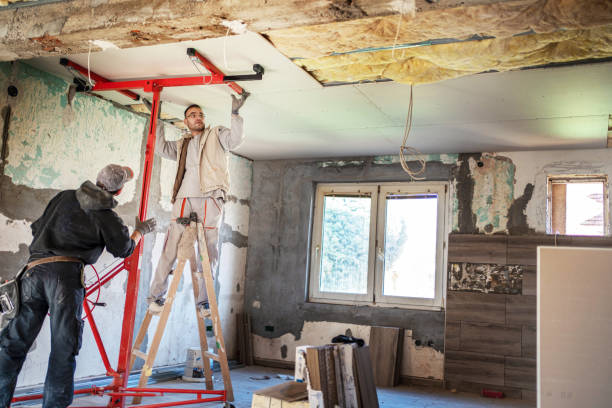 Best Geographic-Specific Insulation Services in Socorro, TX